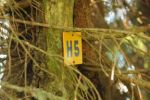 2014-07-05_Laengental-N-Hochweg (728). JPG
